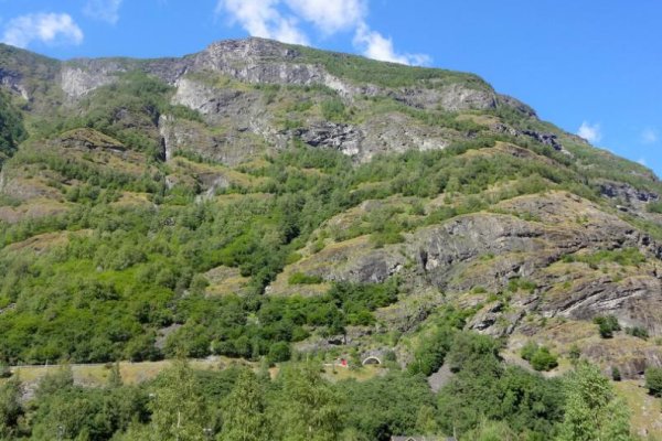Кракен картель