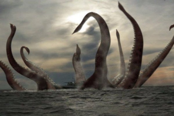 Kraken даркнет маркет